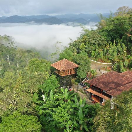 Spice Forest Plantation Homestay, Thekkady Vandiperiyār Exteriör bild