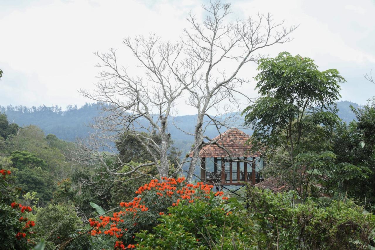 Spice Forest Plantation Homestay, Thekkady Vandiperiyār Exteriör bild
