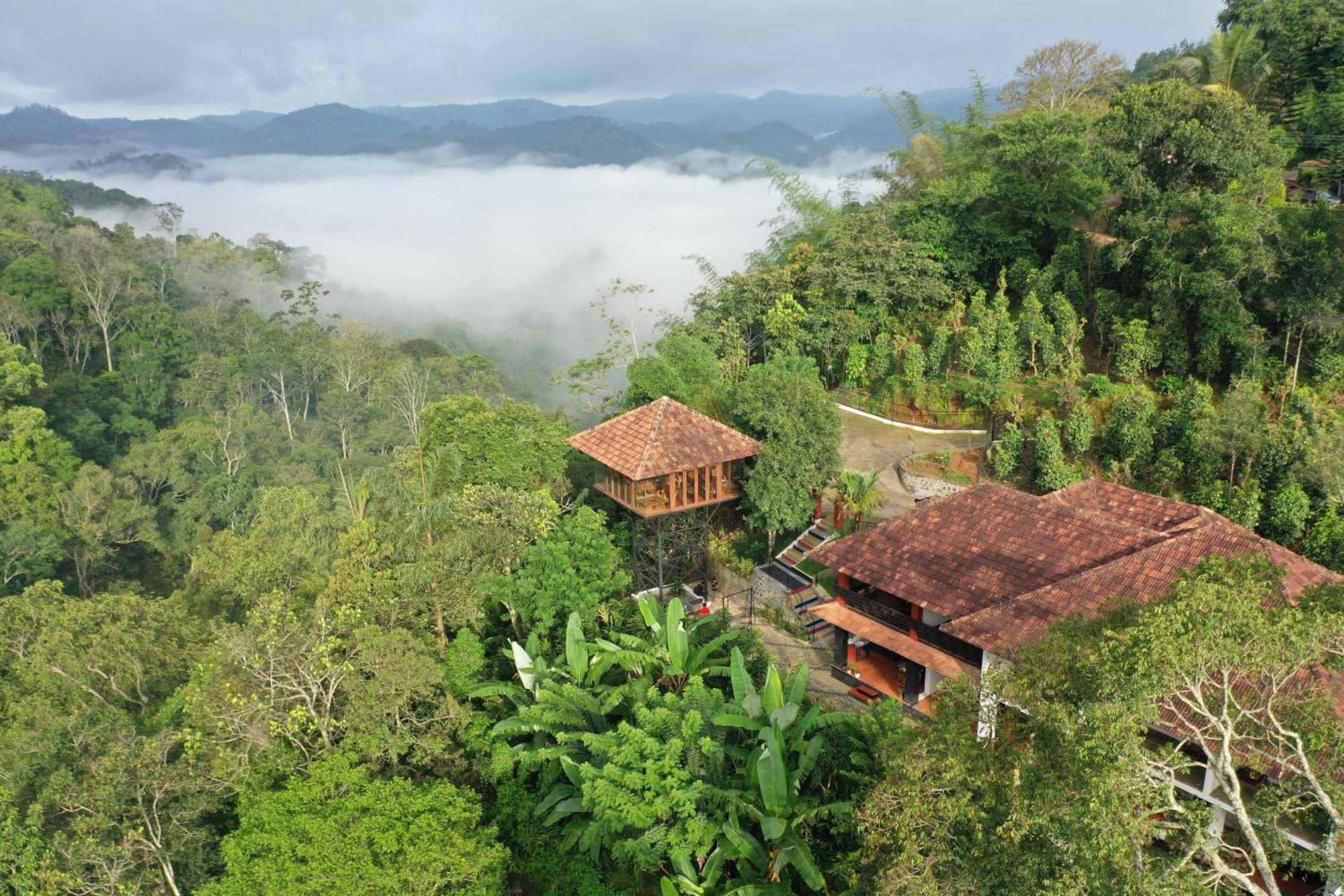 Spice Forest Plantation Homestay, Thekkady Vandiperiyār Exteriör bild
