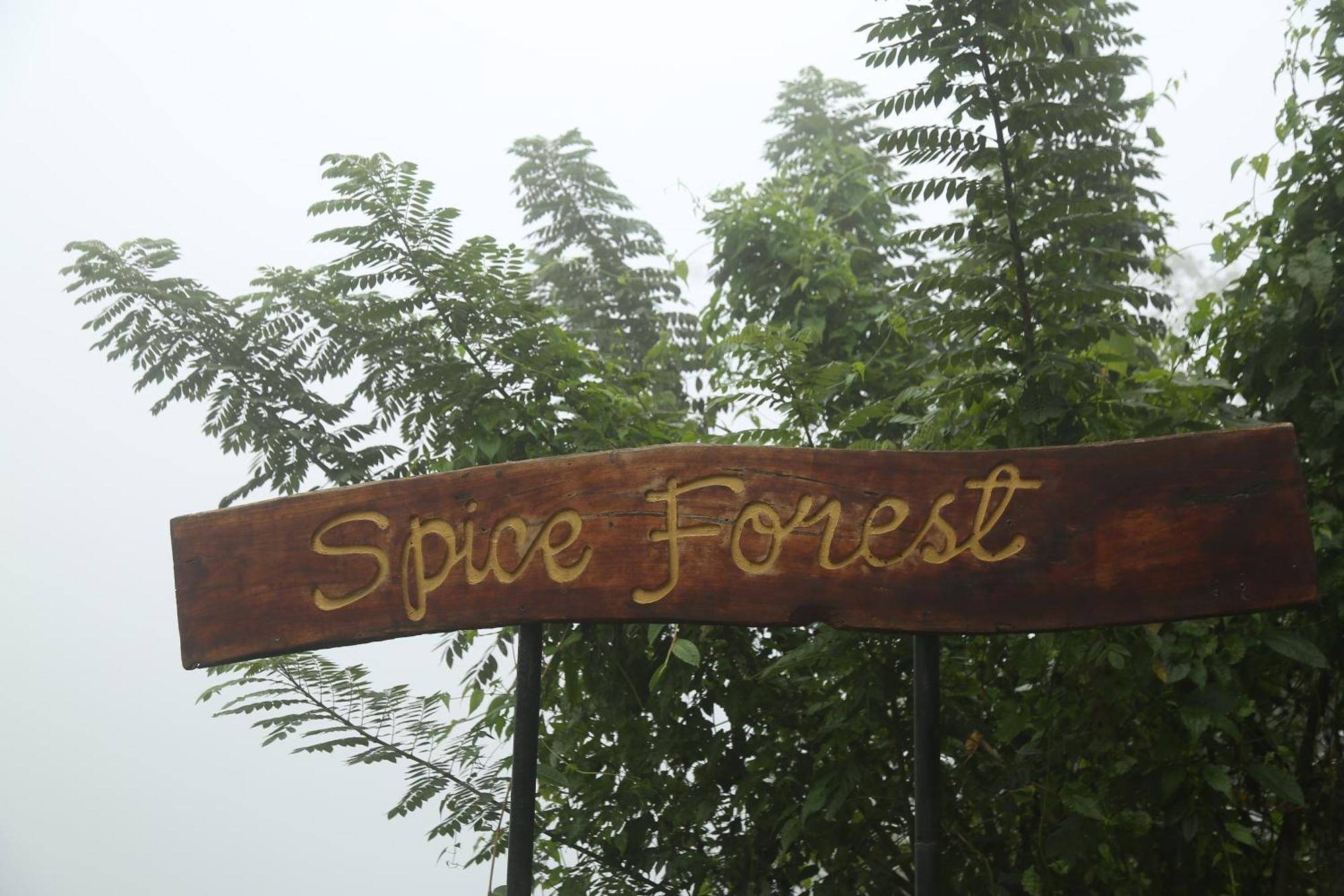 Spice Forest Plantation Homestay, Thekkady Vandiperiyār Exteriör bild