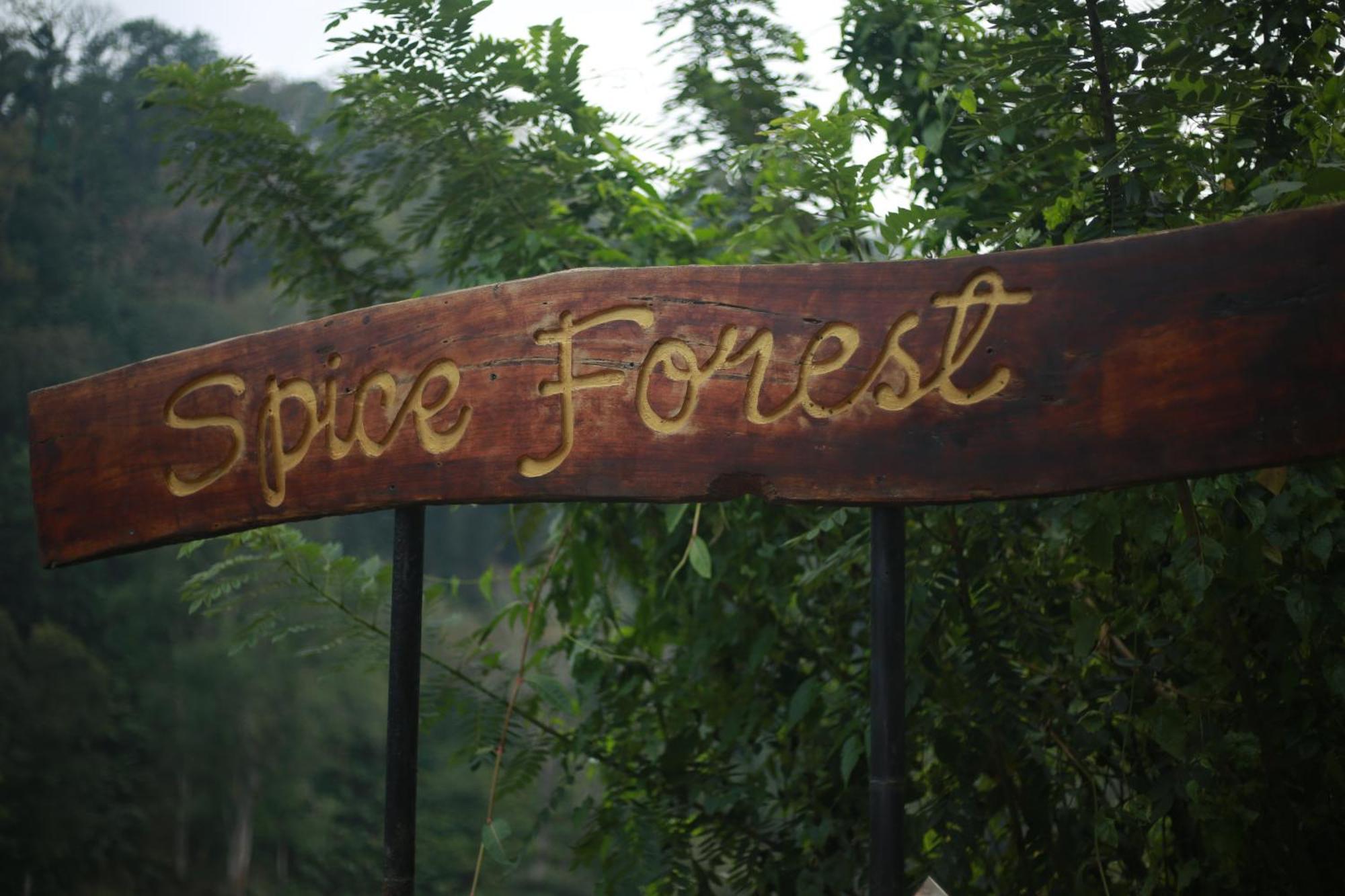 Spice Forest Plantation Homestay, Thekkady Vandiperiyār Exteriör bild